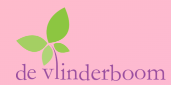 Naschoolse Workshops met kinderen op de BSO